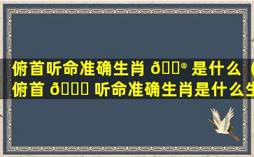 俯首听命准确生肖 💮 是什么（俯首 🐕 听命准确生肖是什么生肖）